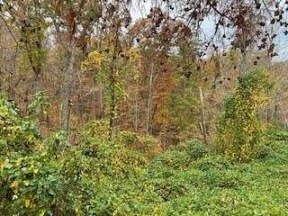 1.5 Acres of Residential Land for Sale in Dandridge, Tennessee