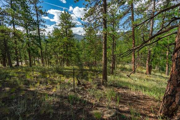 2 Acres of Residential Land for Sale in Bailey, Colorado