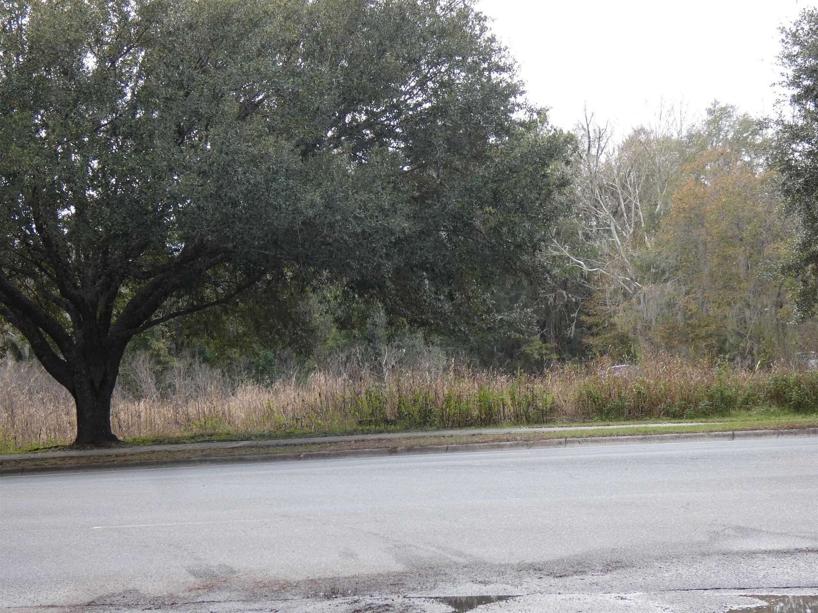 0.15 Acres of Land for Sale in Tallahassee, Florida