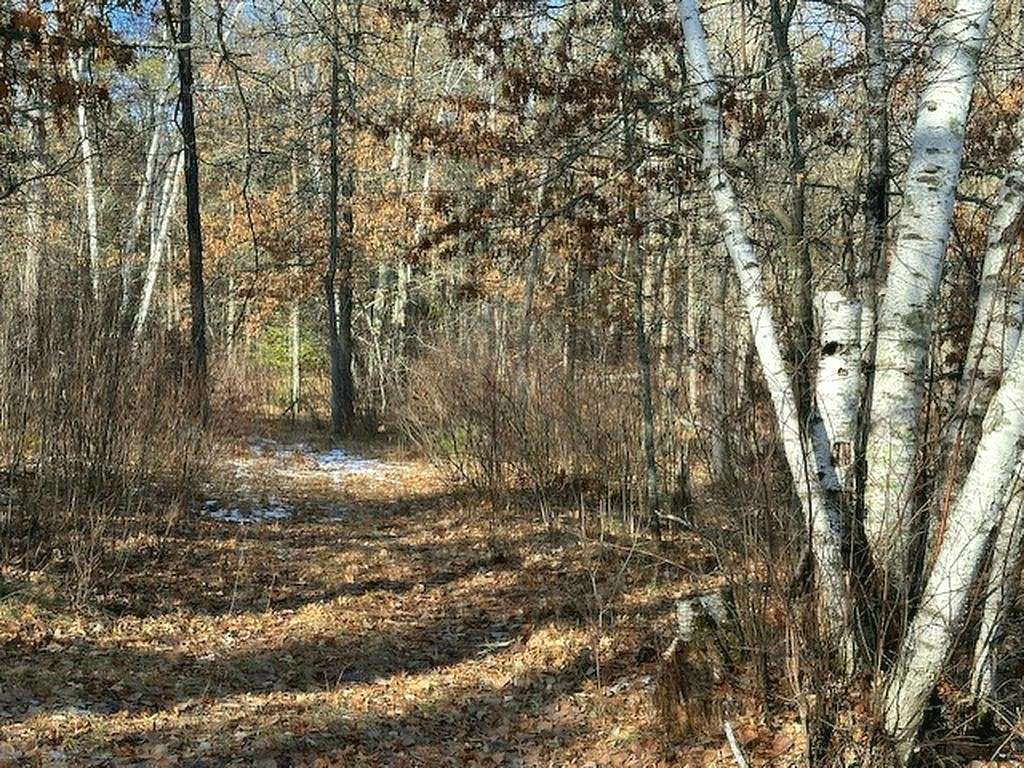 4.8 Acres of Residential Land for Sale in Nevis, Minnesota