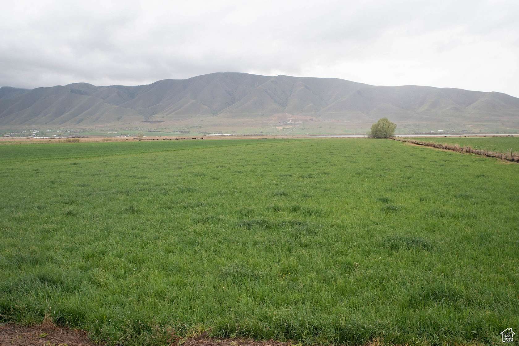 51.2 Acres of Agricultural Land for Sale in Benjamin, Utah