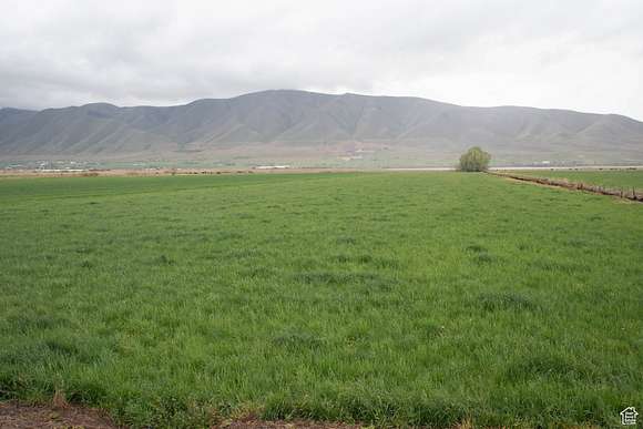 51.15 Acres of Agricultural Land for Sale in Benjamin, Utah