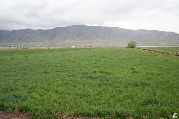 51.2 Acres of Agricultural Land for Sale in Benjamin, Utah