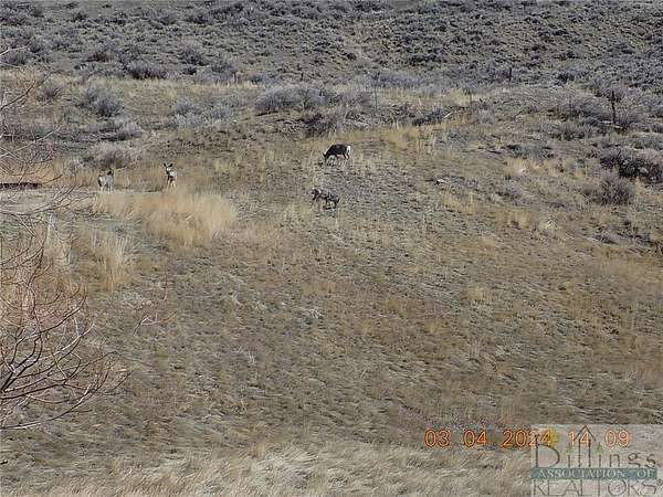 0.16 Acres of Residential Land for Sale in Bearcreek, Montana