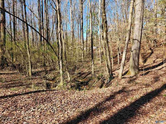 0.7 Acres of Residential Land for Sale in Hamilton, Alabama