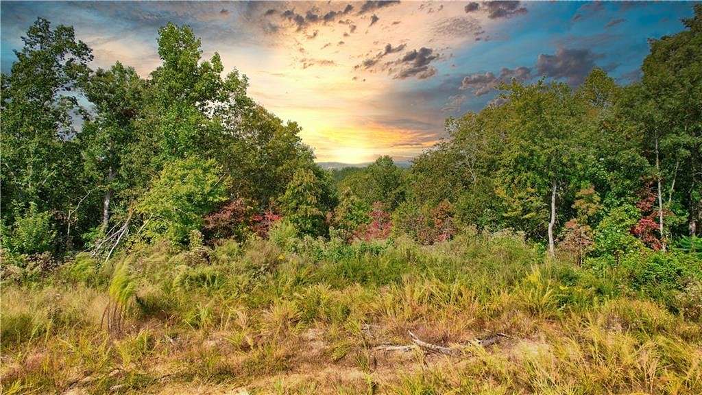 31.2 Acres of Land for Sale in Ellijay, Georgia