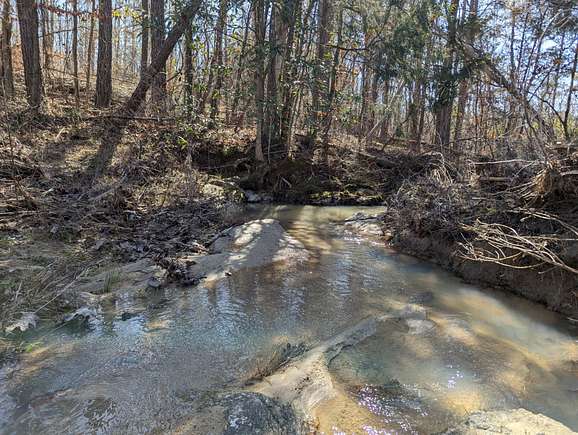 116 Acres of Recreational Land for Sale in Eclectic, Alabama