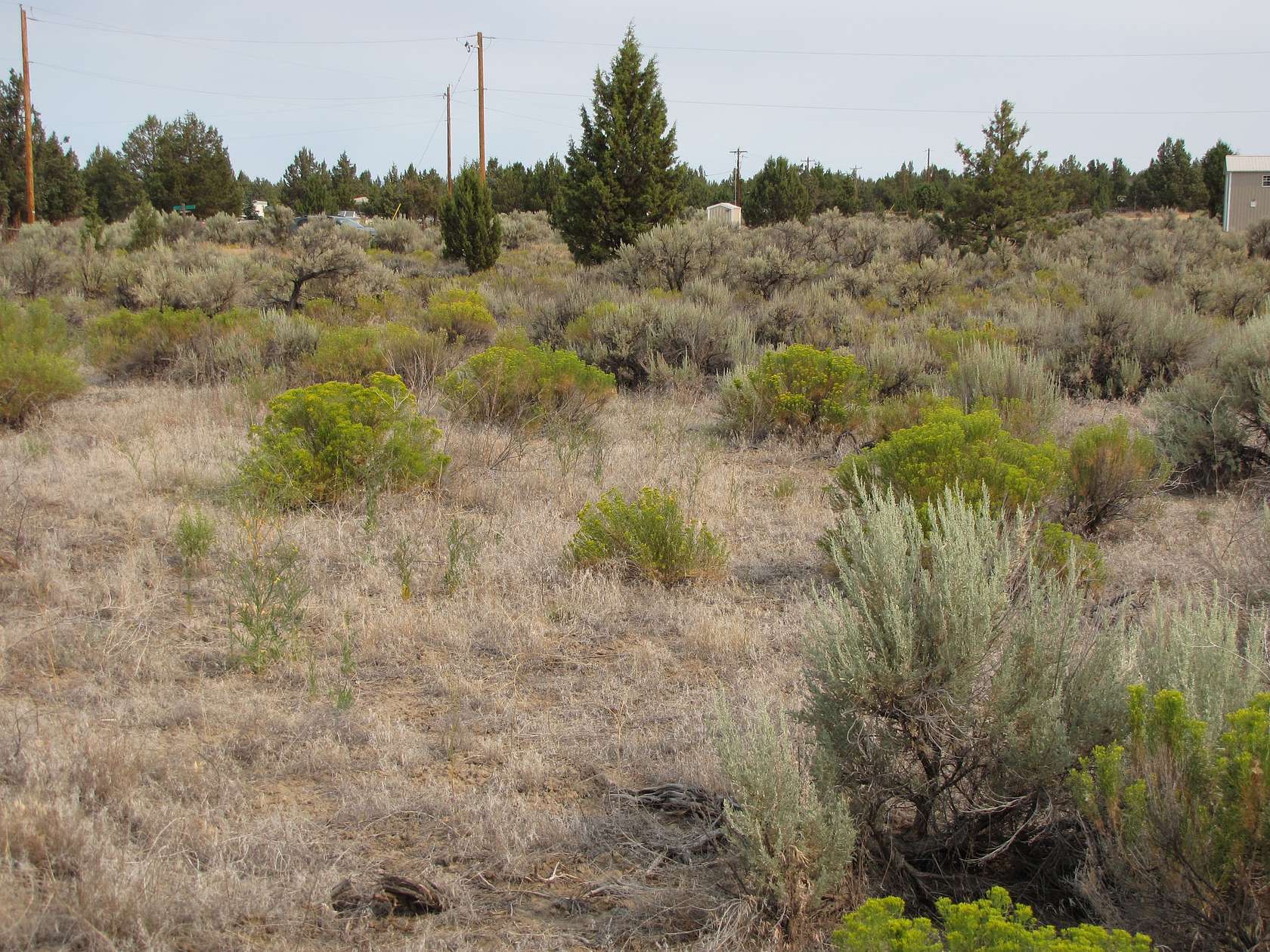 1.71 Acres of Residential Land for Sale in Prineville, Oregon