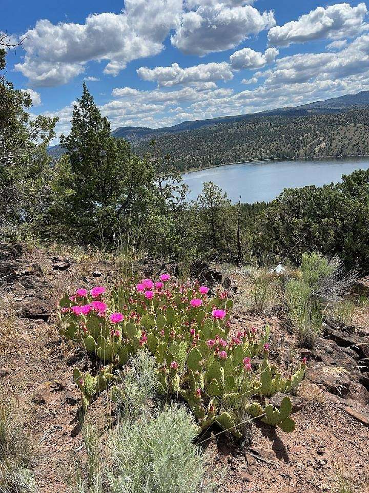 0.93 Acres of Residential Land for Sale in Prineville, Oregon