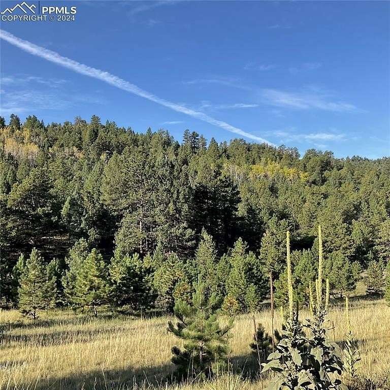 39.5 Acres of Recreational Land for Sale in Cañon City, Colorado