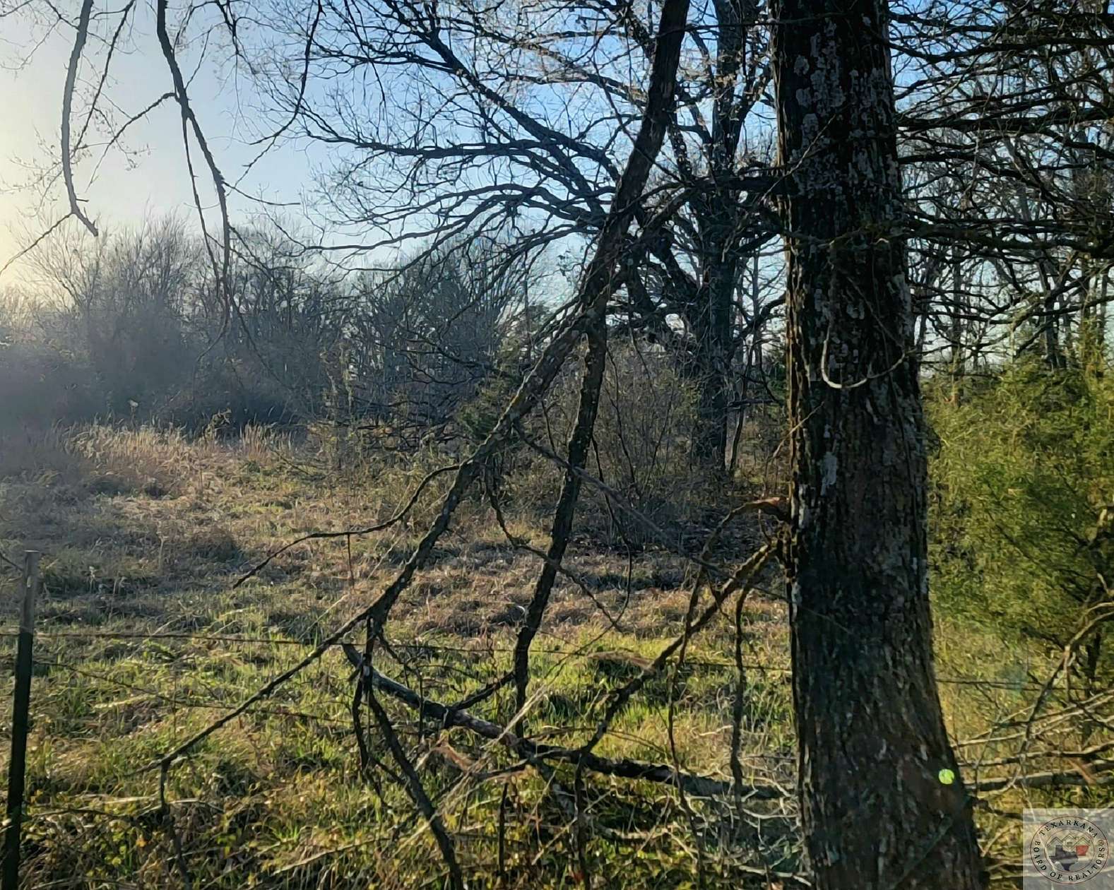 2.5 Acres of Land for Sale in Detroit, Texas
