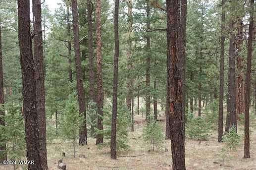1.1 Acres of Residential Land for Sale in Greer, Arizona