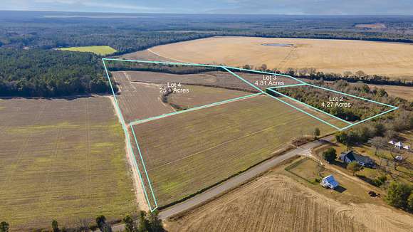 25 Acres of Agricultural Land for Sale in Salley, South Carolina