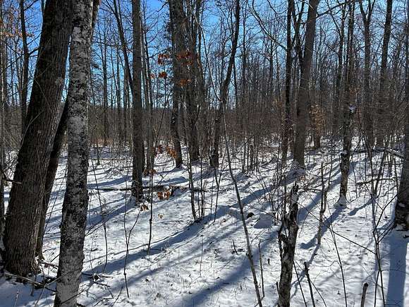 80 Acres of Land for Sale in Stone Lake, Wisconsin