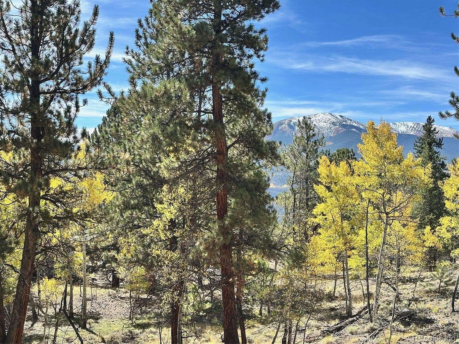 0.46 Acres of Residential Land for Sale in Twin Lakes, Colorado