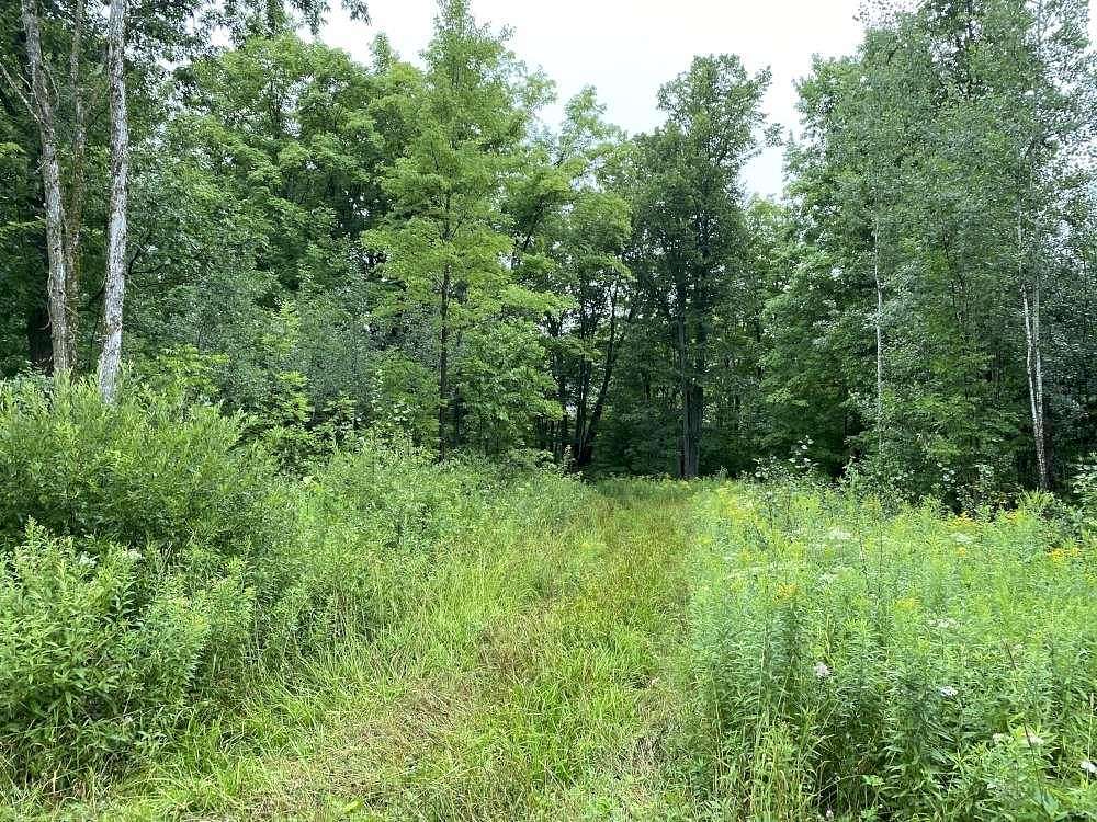 80 Acres of Land for Sale in Merrill, Wisconsin