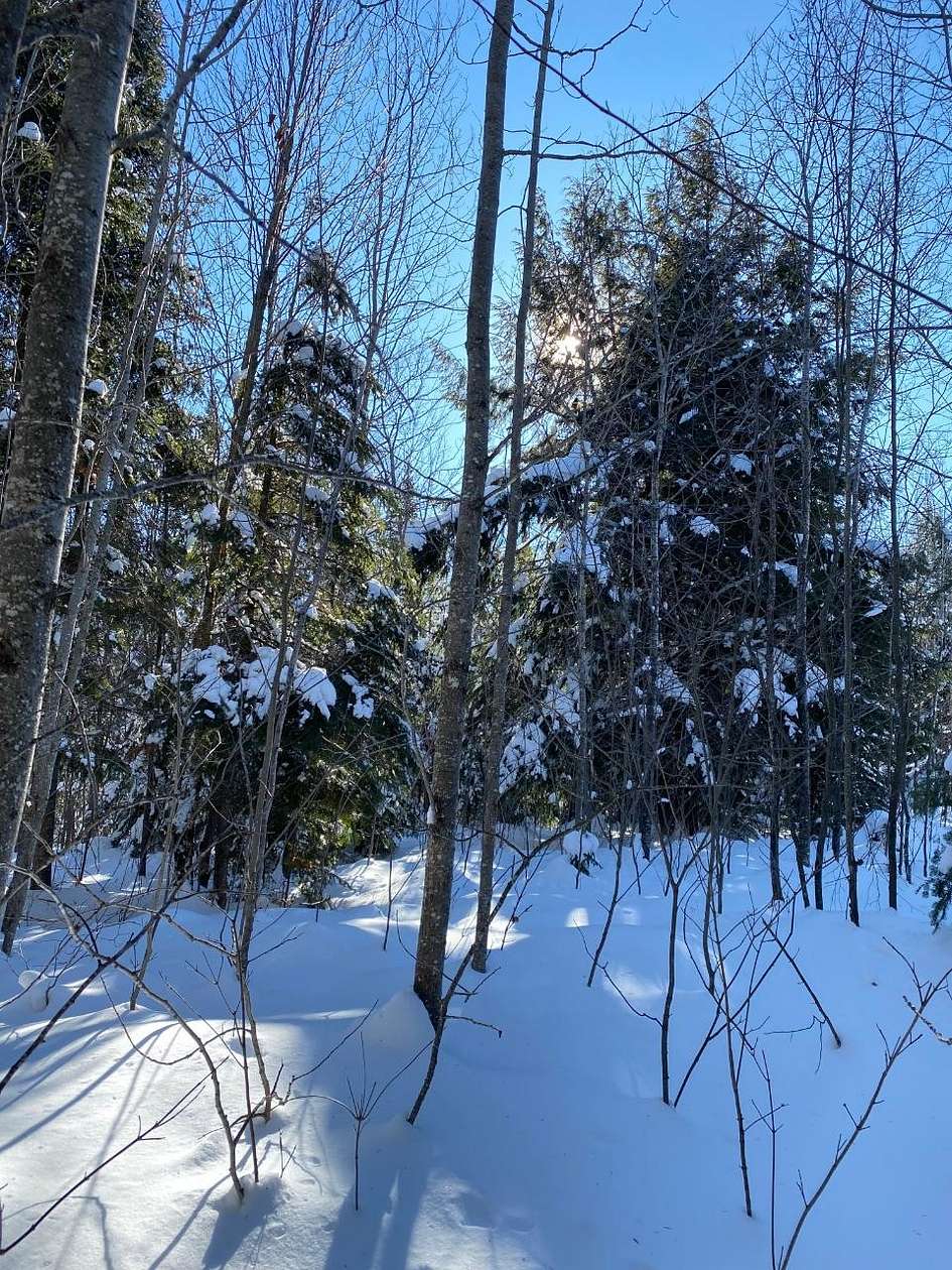 320 Acres of Land for Sale in Park Falls, Wisconsin
