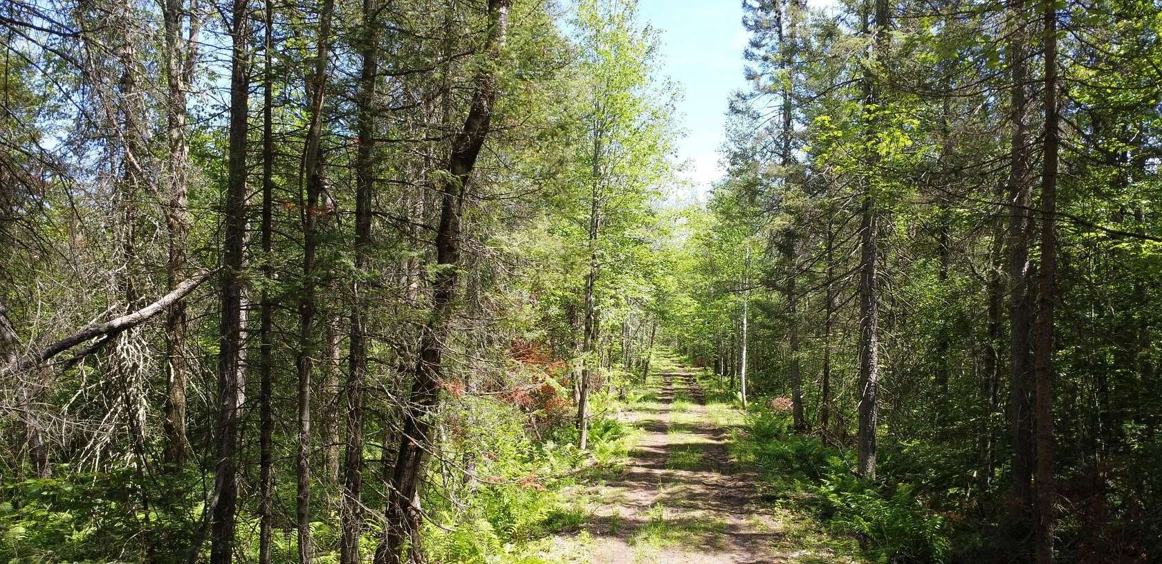 4.5 Acres of Land for Sale in Hiles, Wisconsin