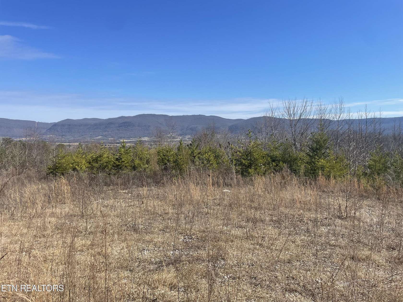 27.5 Acres of Land for Sale in Pikeville, Tennessee