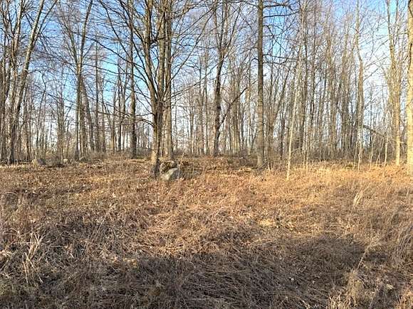 2 Acres of Residential Land for Sale in Wittenberg, Wisconsin