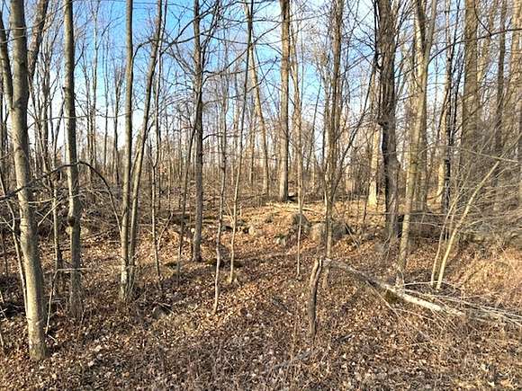 2 Acres of Land for Sale in Wittenberg, Wisconsin