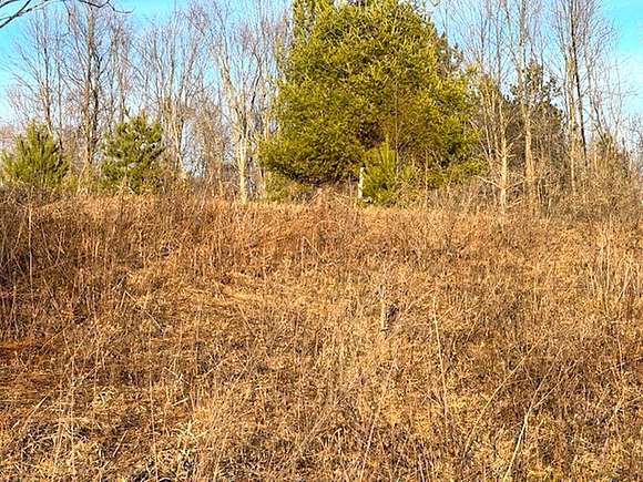 1.4 Acres of Residential Land for Sale in Wittenberg, Wisconsin