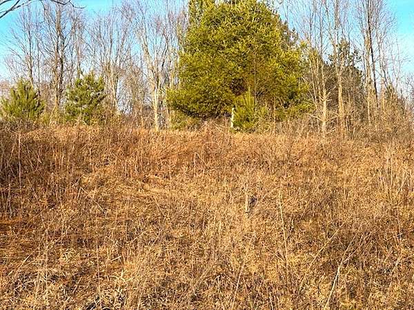 1.4 Acres of Residential Land for Sale in Wittenberg, Wisconsin