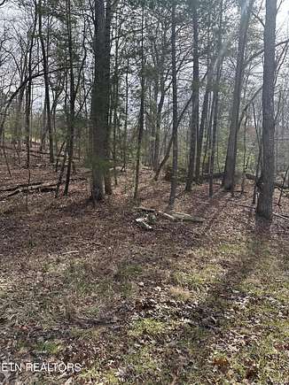 0.46 Acres of Residential Land for Sale in Fairfield Glade, Tennessee