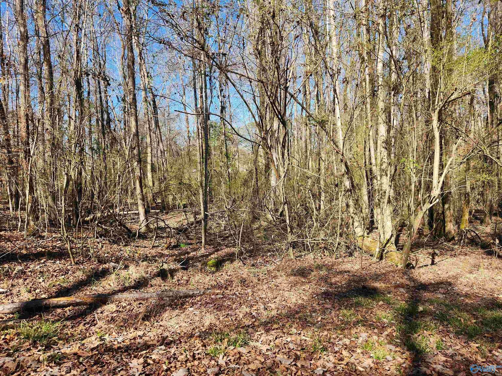 0.56 Acres of Residential Land for Sale in Hamilton, Alabama