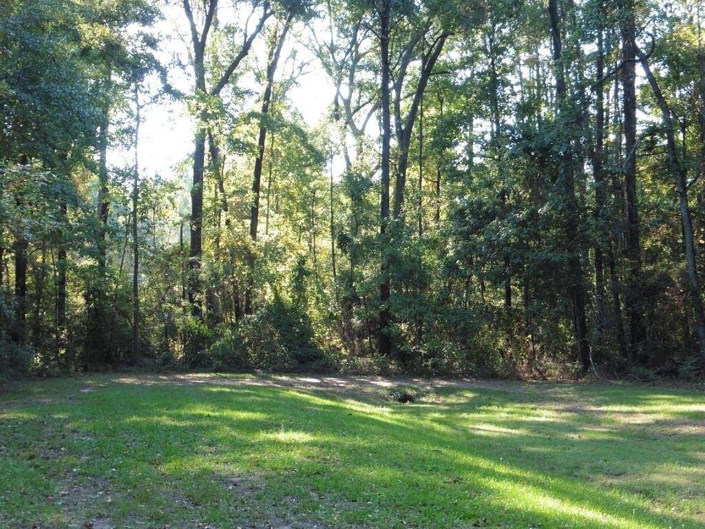 0.38 Acres of Residential Land for Sale in Hemphill, Texas