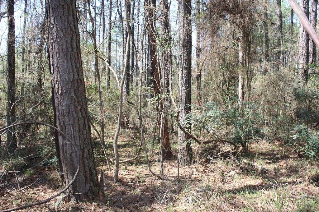 0.24 Acres of Residential Land for Sale in Hemphill, Texas