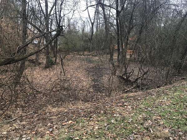 0.97 Acres of Land for Sale in Ten Mile, Tennessee