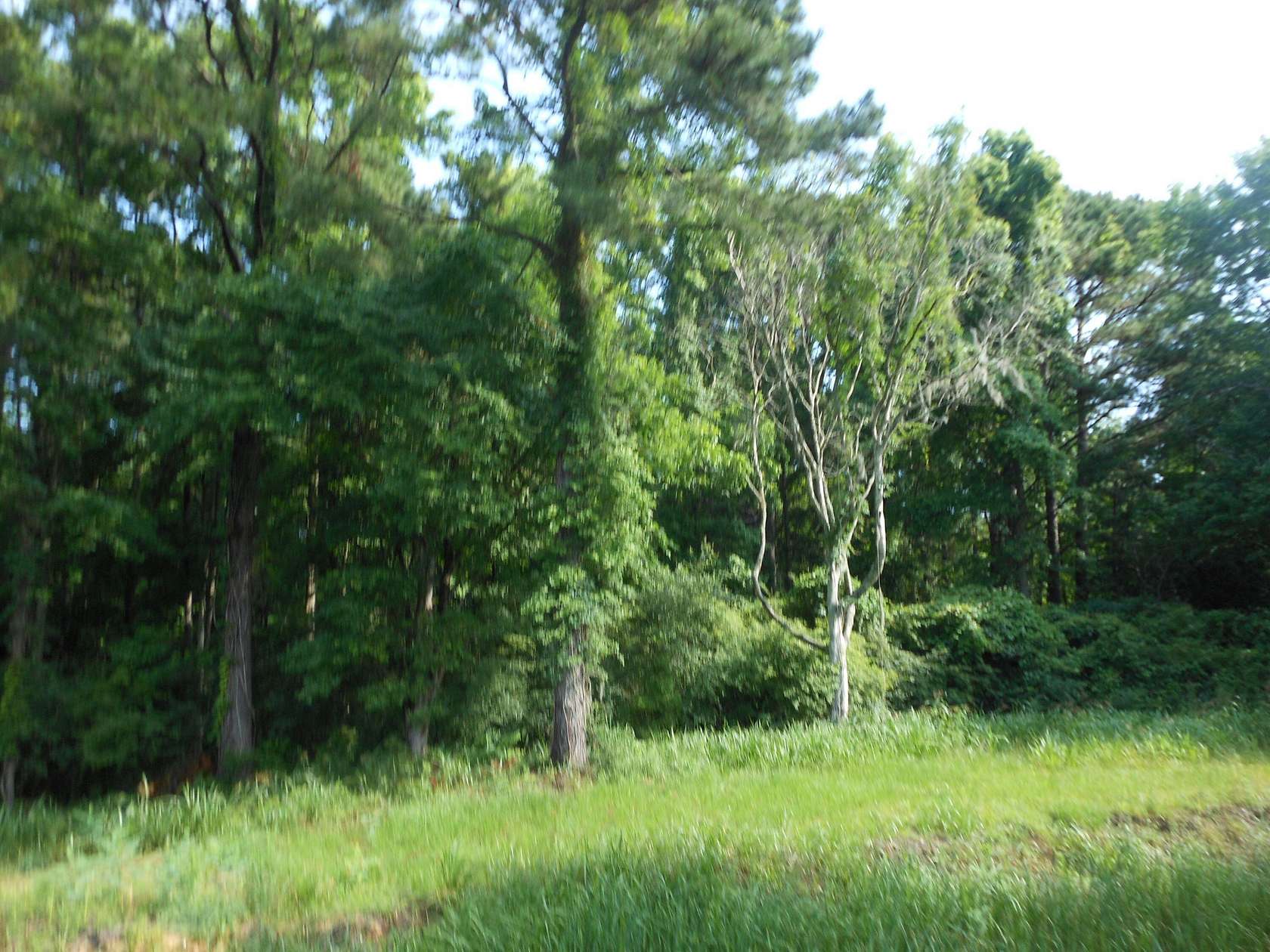2.1 Acres of Residential Land for Sale in Johns Island, South Carolina