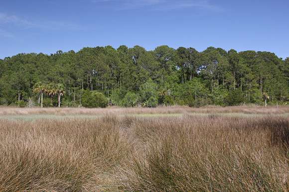 19.7 Acres of Land for Sale in Mount Pleasant, South Carolina