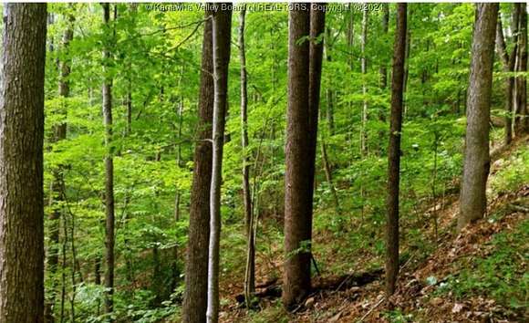 150 Acres of Recreational Land for Sale in Dingess, West Virginia
