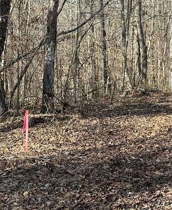 30.3 Acres of Recreational Land for Sale in Nancy, Kentucky