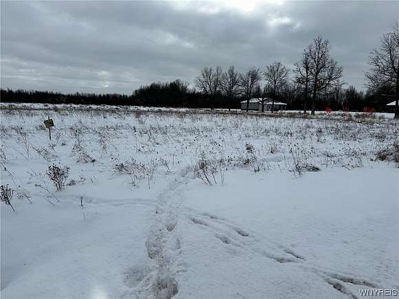 8.7 Acres of Residential Land for Sale in Clarence, New York