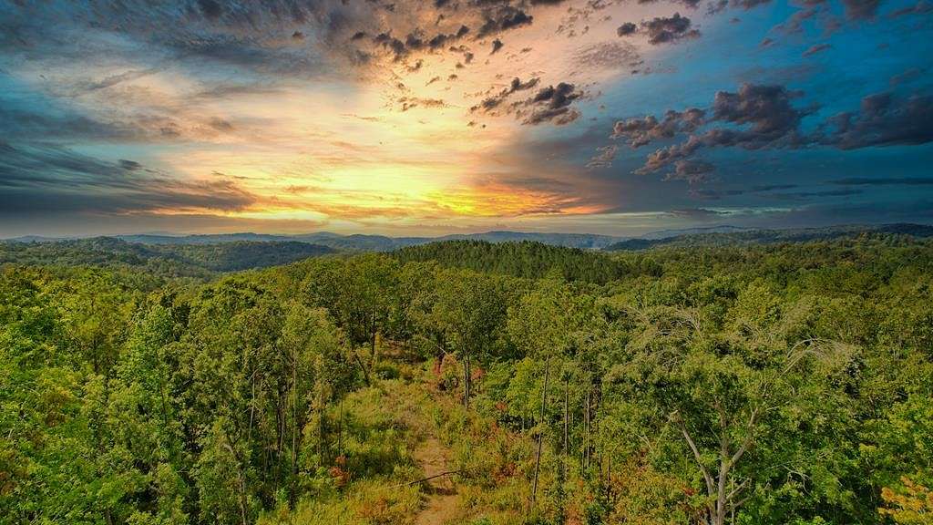 31.2 Acres of Land for Sale in Ellijay, Georgia