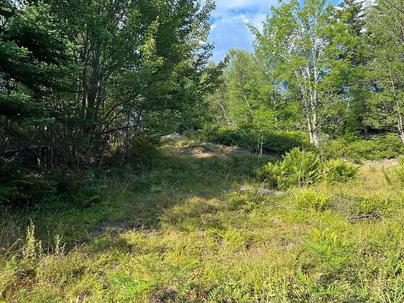 8.8 Acres of Residential Land for Sale in Vinalhaven, Maine