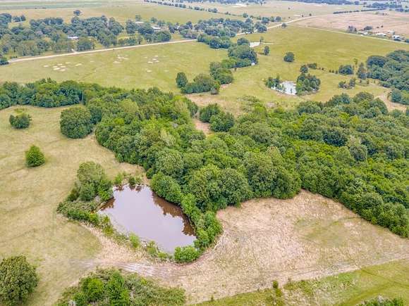247 Acres of Recreational Land for Sale in Ivanhoe, Texas