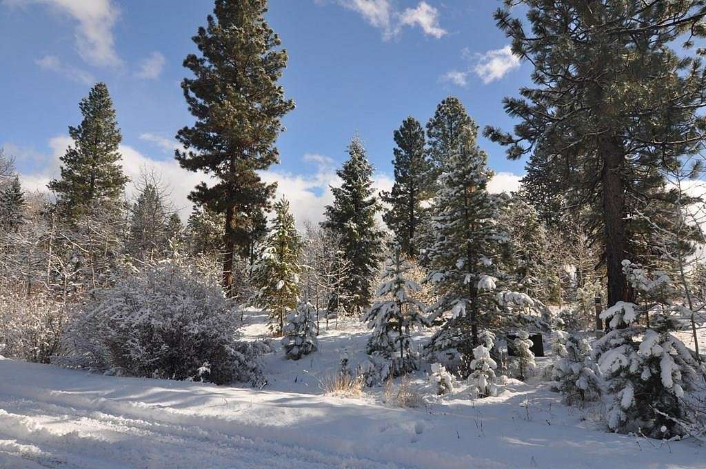 2.3 Acres of Residential Land for Sale in McCall, Idaho