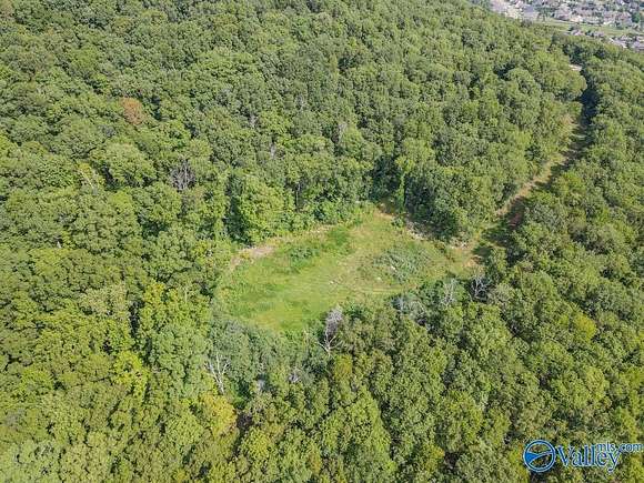 34 Acres of Land for Sale in Owens Cross Roads, Alabama