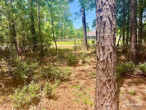 5 Acres of Residential Land for Sale in Jay, Florida