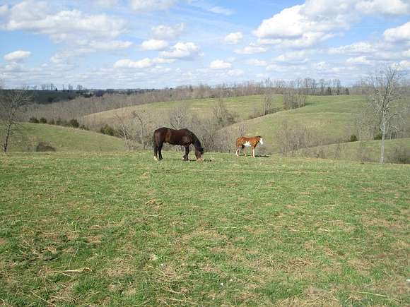92 Acres of Agricultural Land for Sale in Owingsville, Kentucky