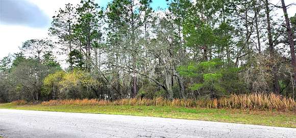 0.24 Acres of Residential Land for Sale in Ocala, Florida