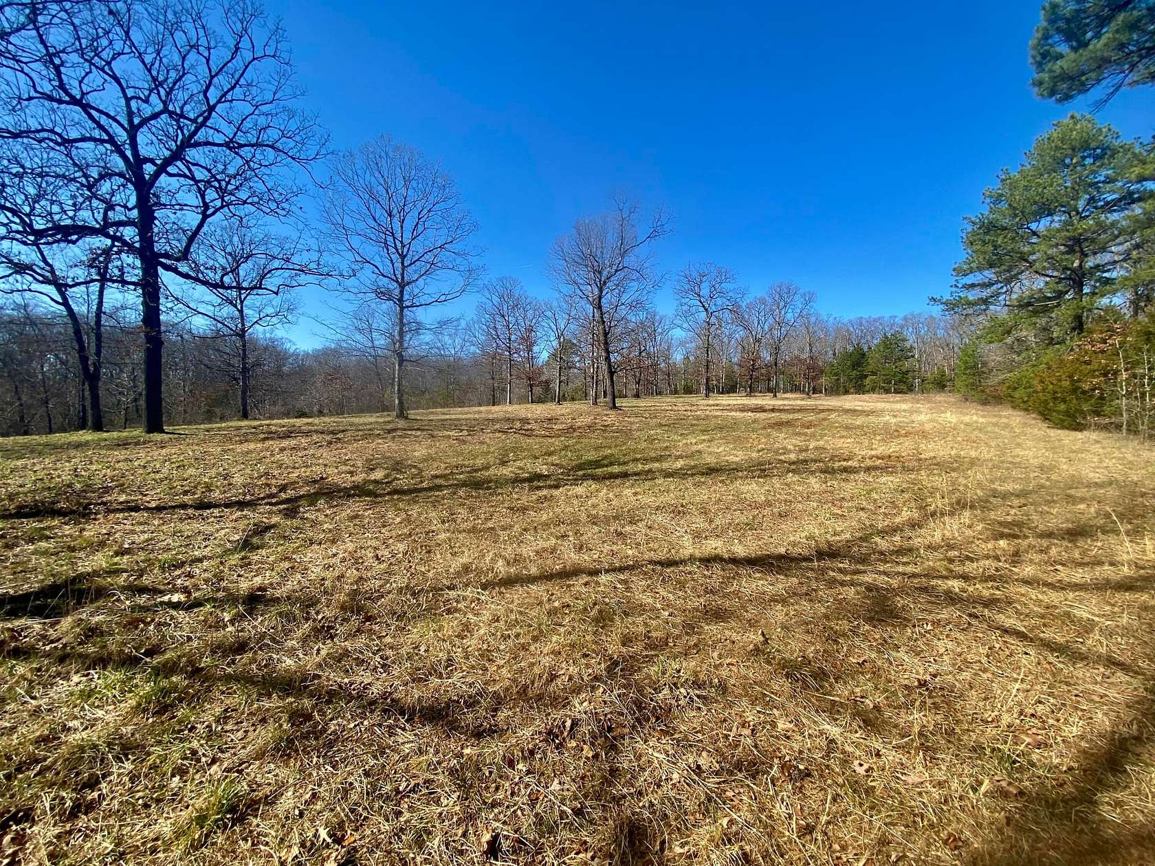 80 Acres of Recreational Land for Sale in Locke, Arkansas