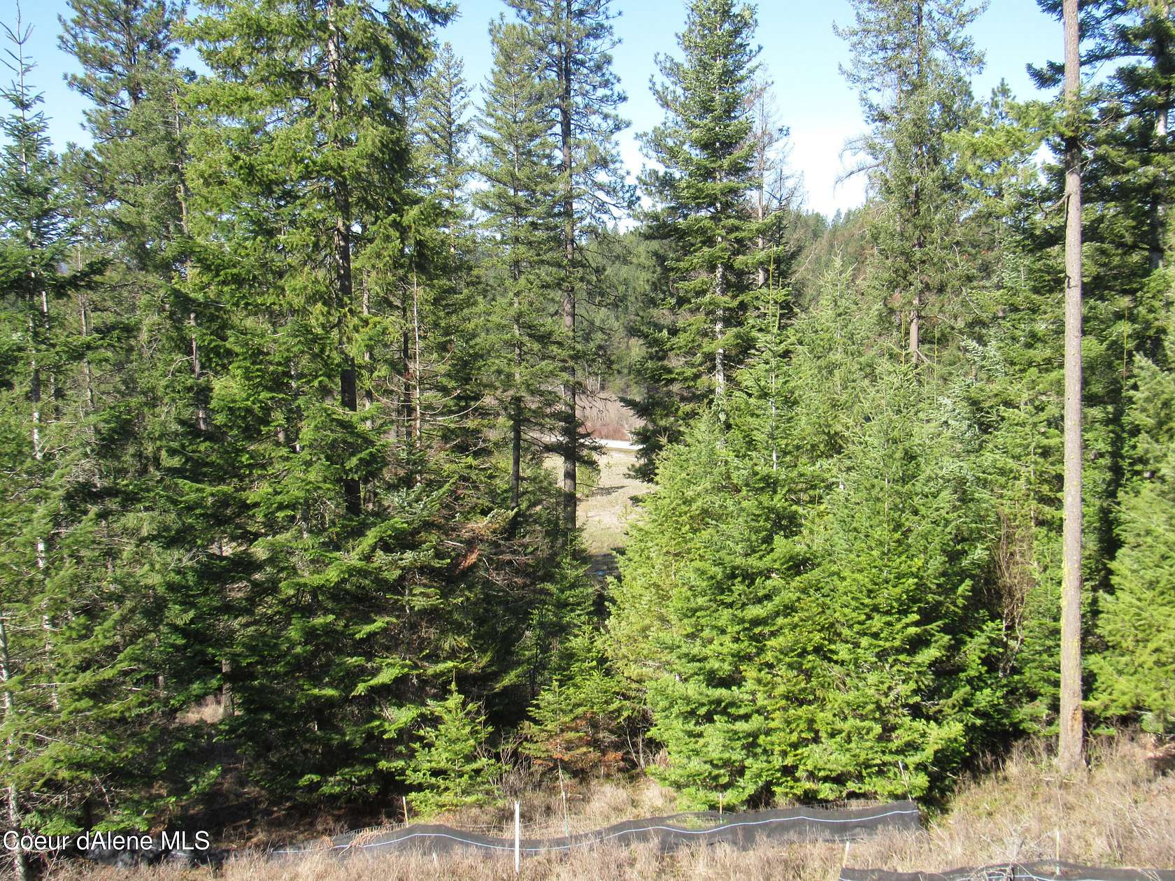 1.1 Acres of Residential Land for Sale in Harrison, Idaho