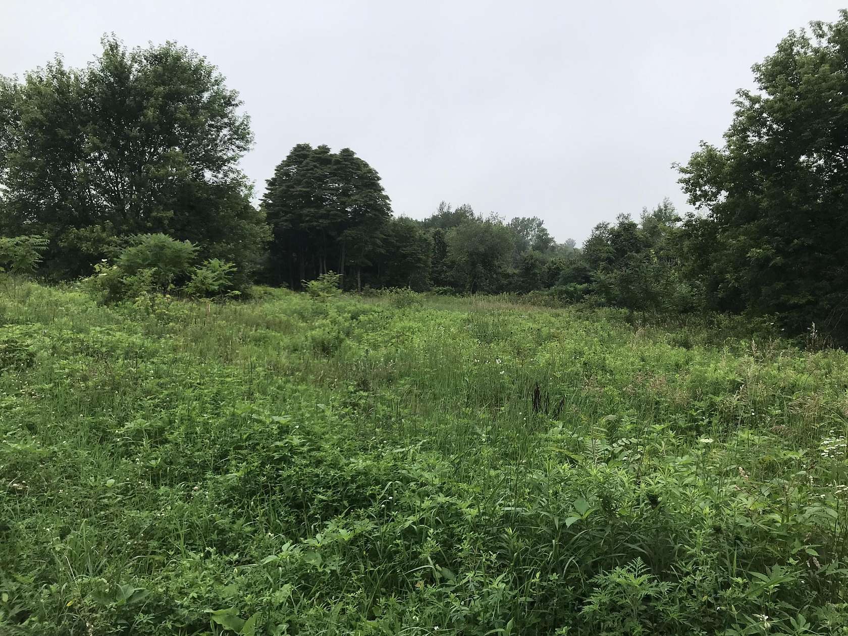 2.9 Acres of Residential Land for Sale in Saugatuck, Michigan