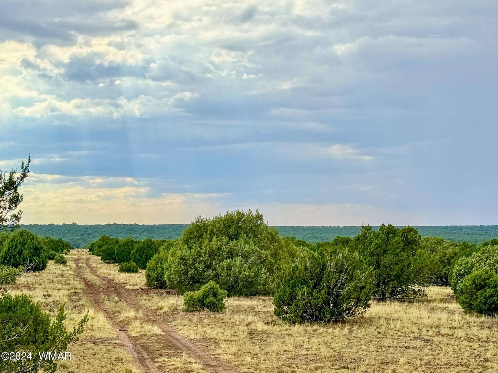 8.16 Acres of Land for Sale in Show Low, Arizona