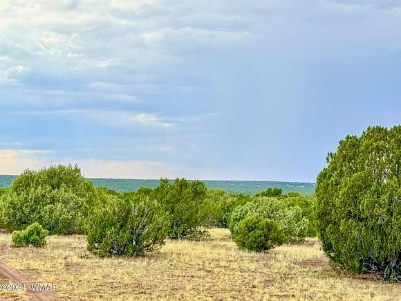 8.16 Acres of Land for Sale in Show Low, Arizona